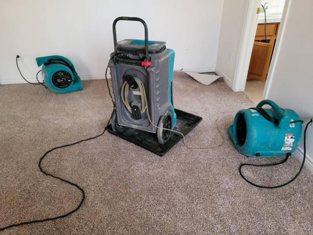 Best Commercial water damage restoration  in Lake Murray Of Richland, SC