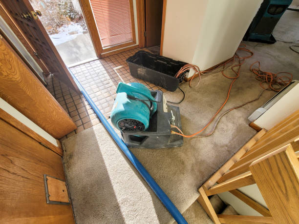 Water damage restoration insurance claims in Lake Murray Of Richland, SC