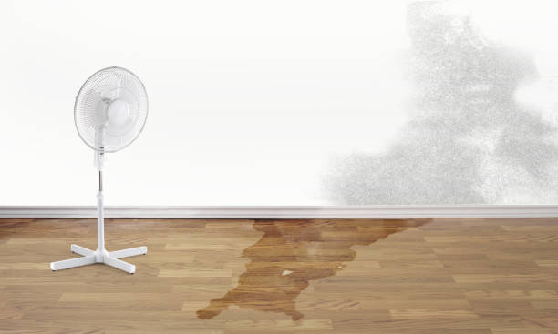Best Fire Damage Restoration  in Lake Murray Of Richland, SC