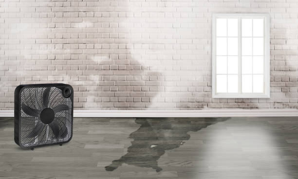 Trusted Lake Murray Of Richland, SC Water damage restoration Experts