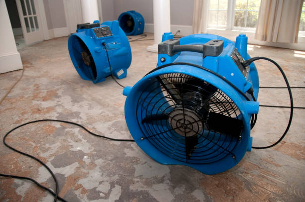 Best Ceiling water damage repair  in Lake Murray Of Richland, SC